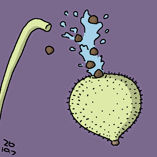 栗:2026-10-07